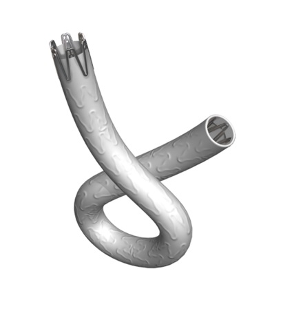 The Bentley-Innomed covered stent from Macromed